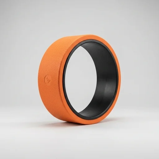 Chirp Chirp Wheel Plus